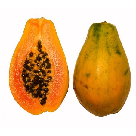 Papaya